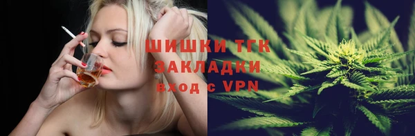 молекула духа Каменногорск